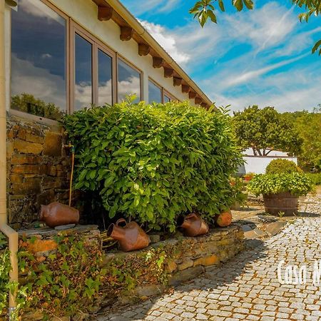 Casa Machado Guest House Braganca Ngoại thất bức ảnh